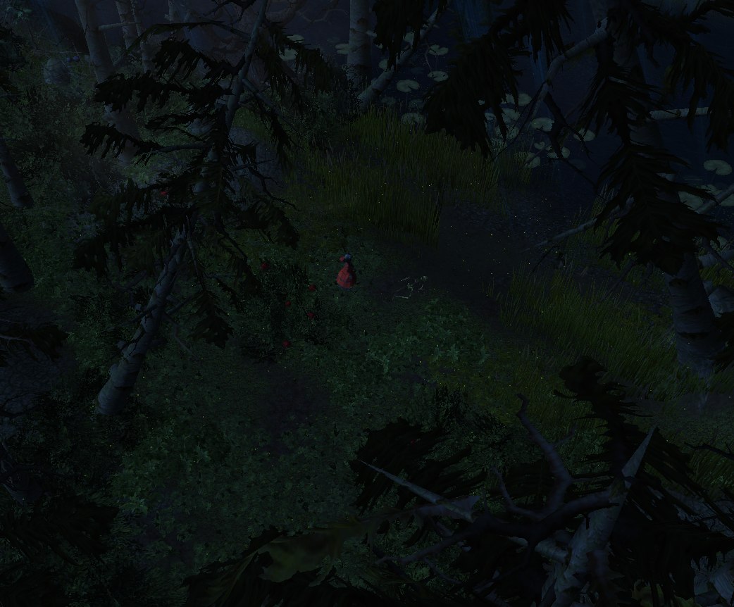 Dark Forest