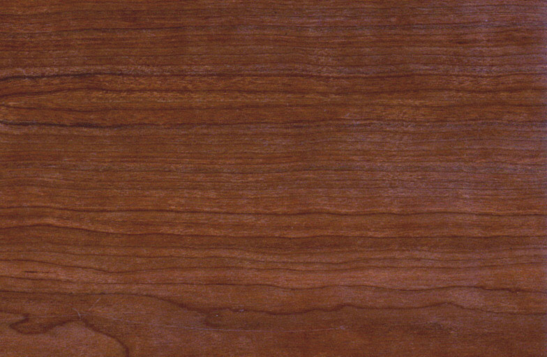 dark wood 4 20120518 1986899356