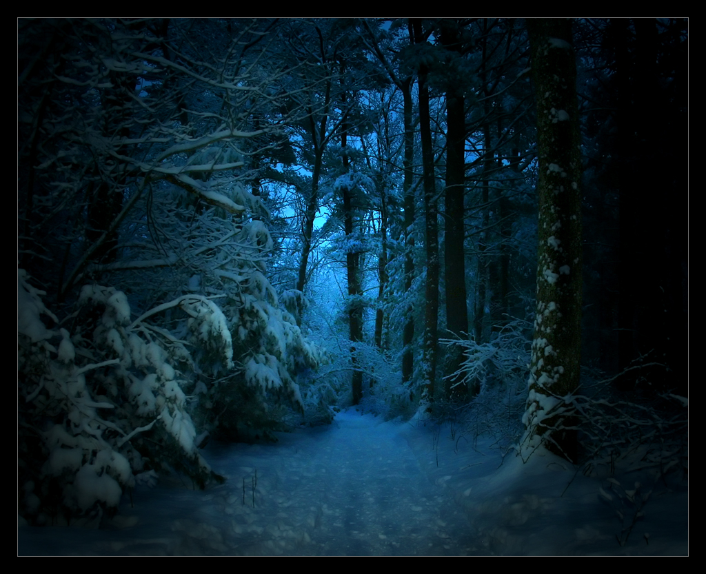 DarkForest by discurrere