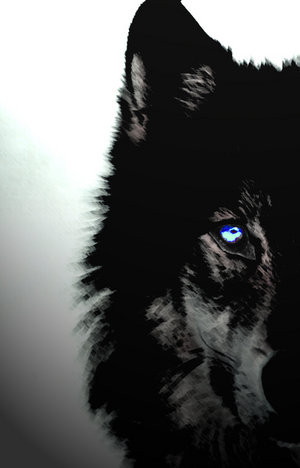 Darkwolf