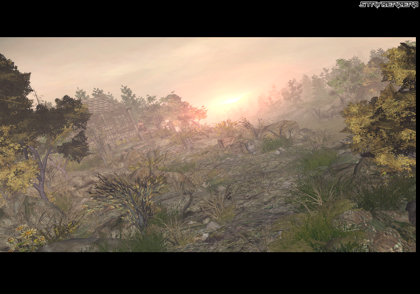 Dawn - ID01152014