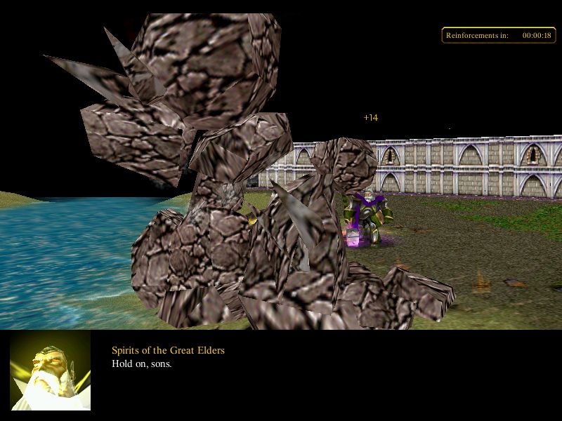 Defender killed colo
