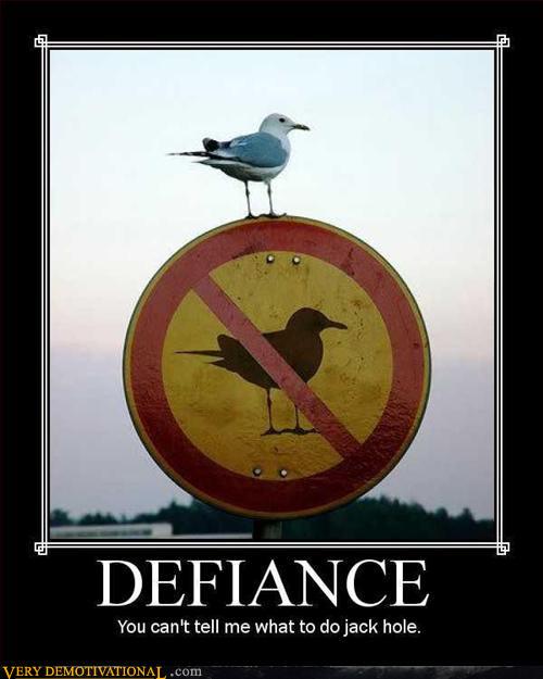 defiance