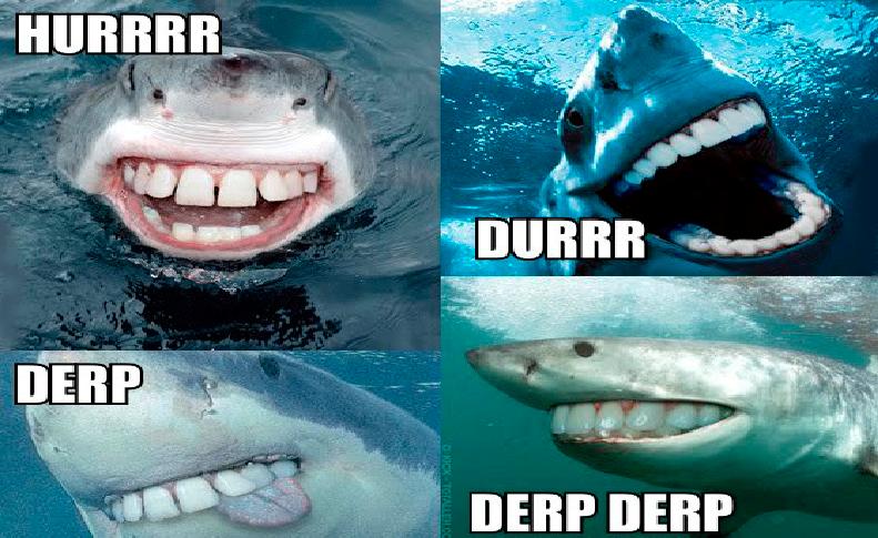 Derp.