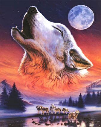 Did i tell you i like Wolves? :D