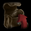 DISBTNBagIn