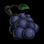 DISBTNBerries