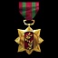 Distinguished Service Medal Achieved
Win thirty rounds.