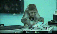 DJ Man-key