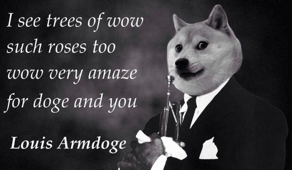 doge meme 196858 w1000