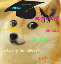 doge student by owaya d6q7z9b