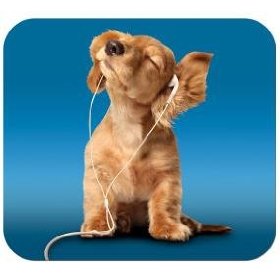 Doggy rocking.