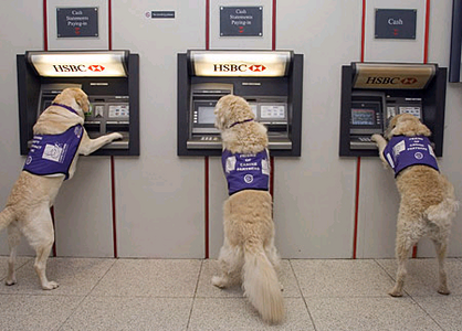 Dogs using ATM machine
