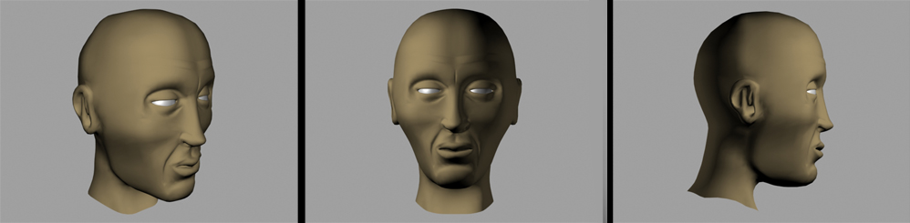 DonHead