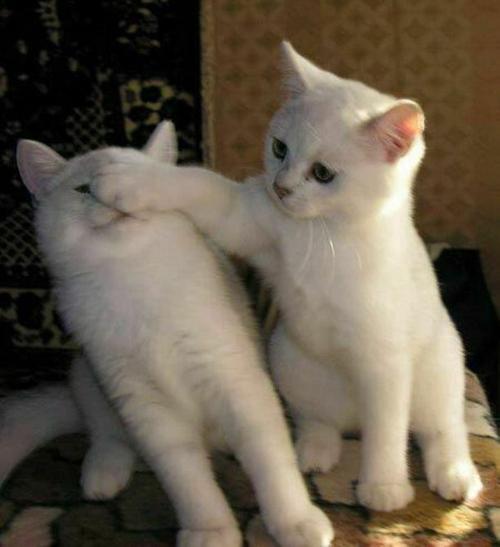Don't look