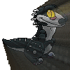 Dorako1X