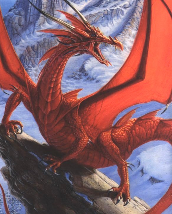 draco occidentalis dragon (an dragon from this species was kiled by St. George)