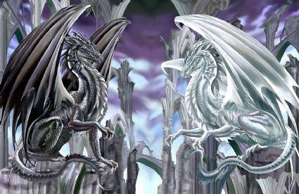 dragons wings abs
