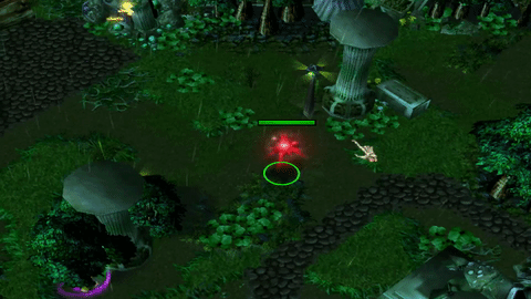 DRUID Ashenvale Guidance