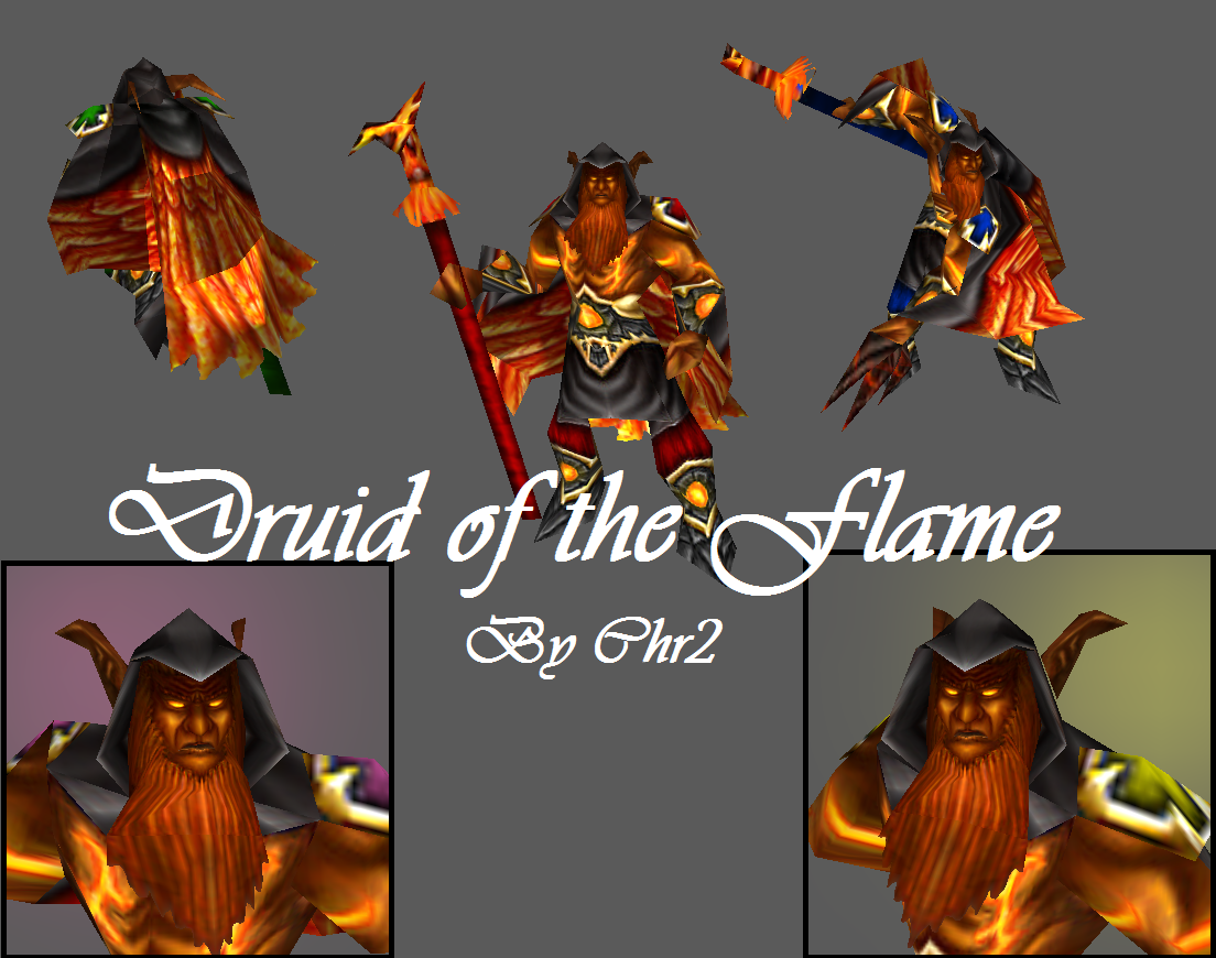 Druid of the Flame