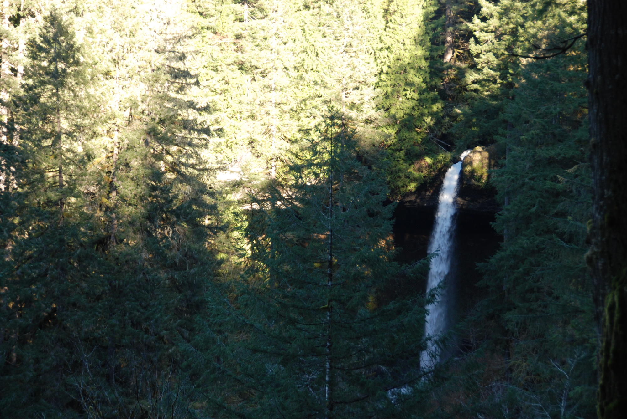 DSC 0130