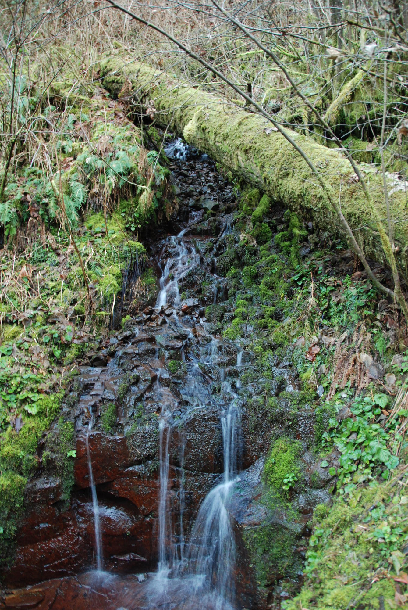 DSC 0245