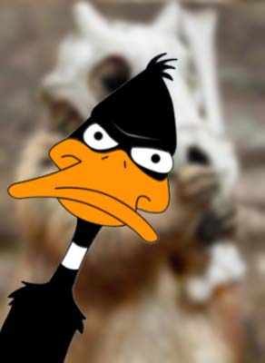Duck Rebellion!