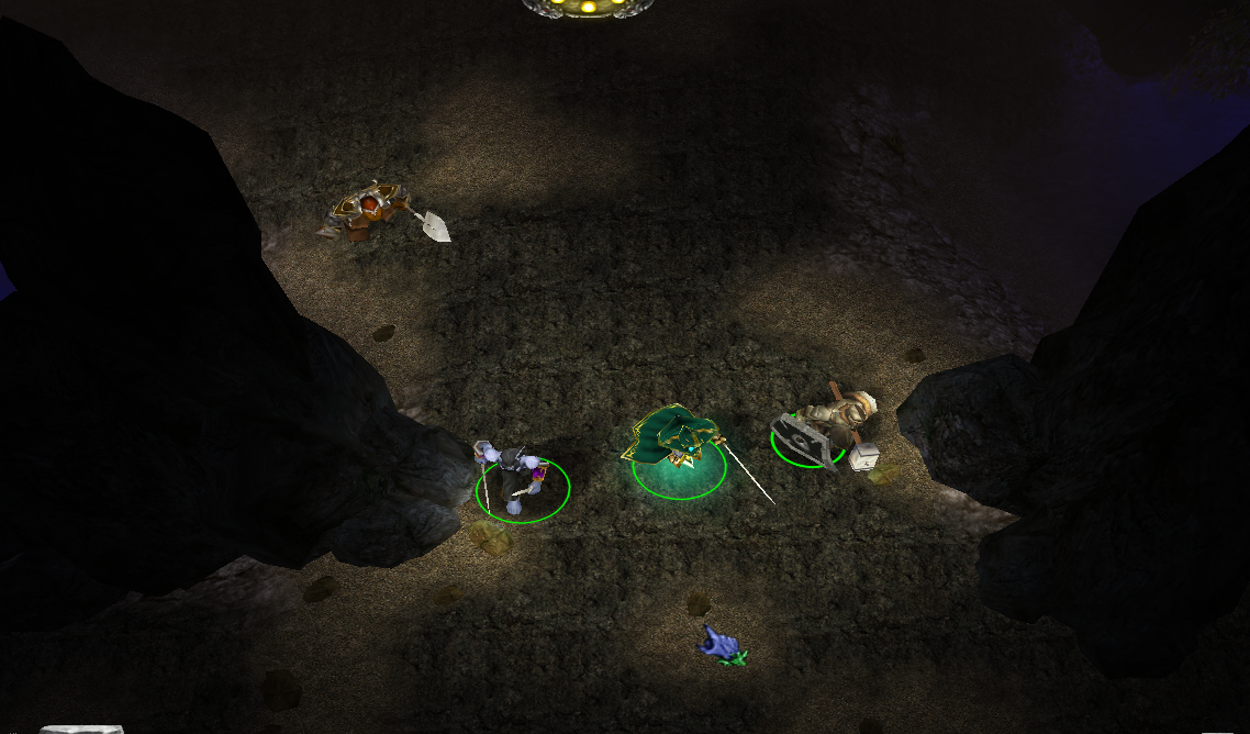 During certain quests Borin will act as a follower and even help you fight enemies you may come across