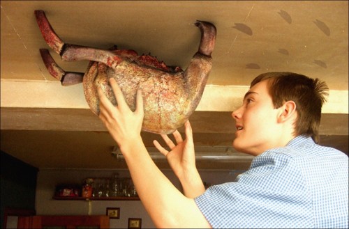 eek headcrabs eat yo face