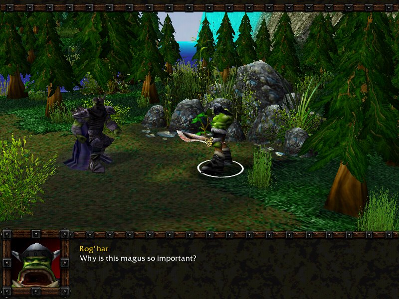 ElvynnForest