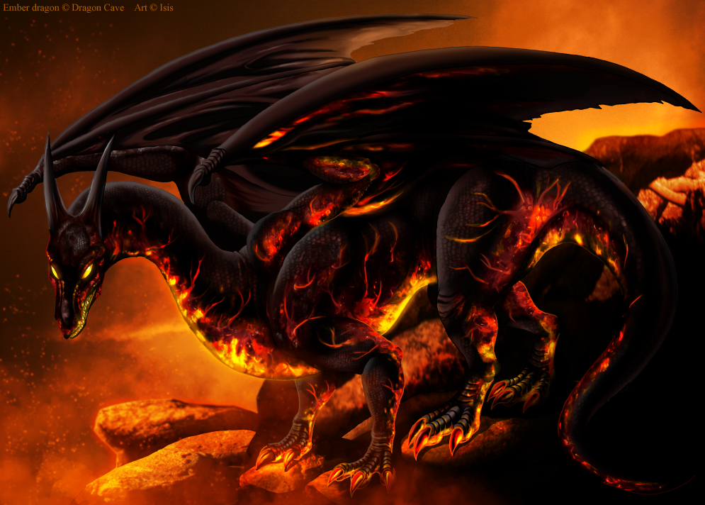 Ember Dragon by knight820