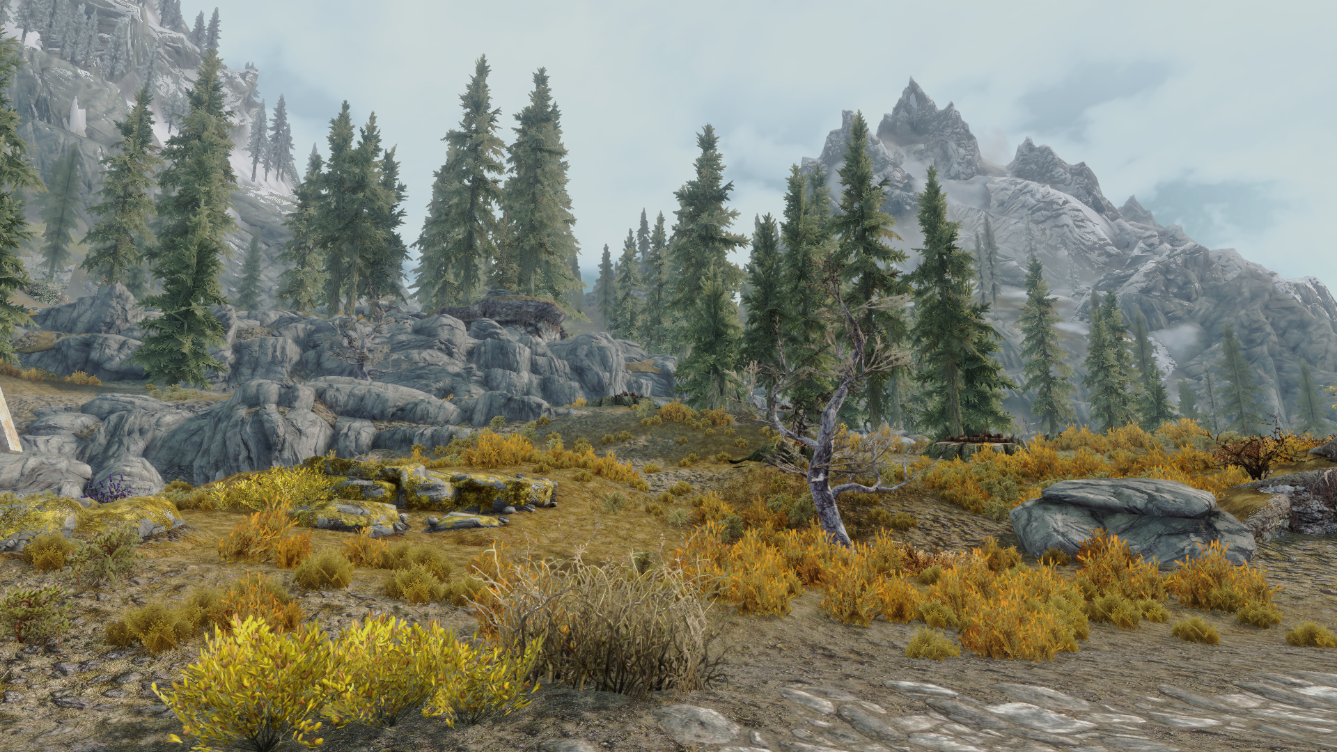 ENB 152 004