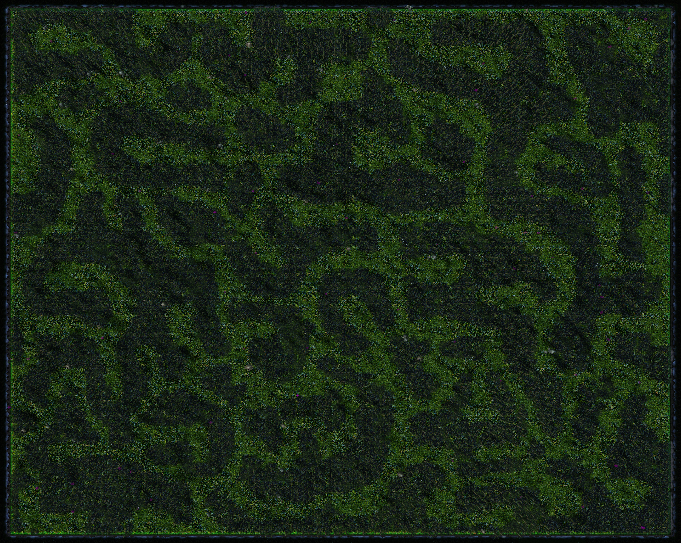 Entire Map Screenshot