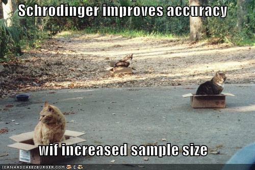 Ever heard about Schrodinger's cat? Sorry, i think not many people will find it funny :P