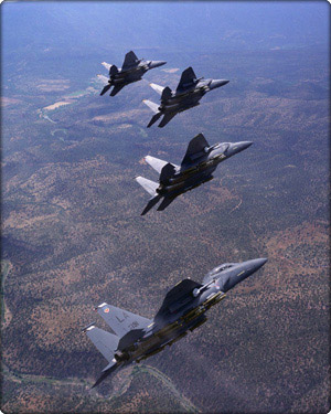 F 15E