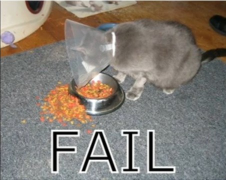 Fail