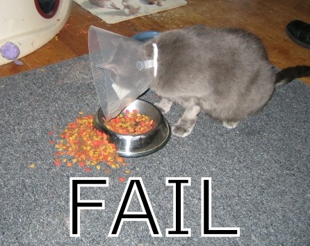 fail