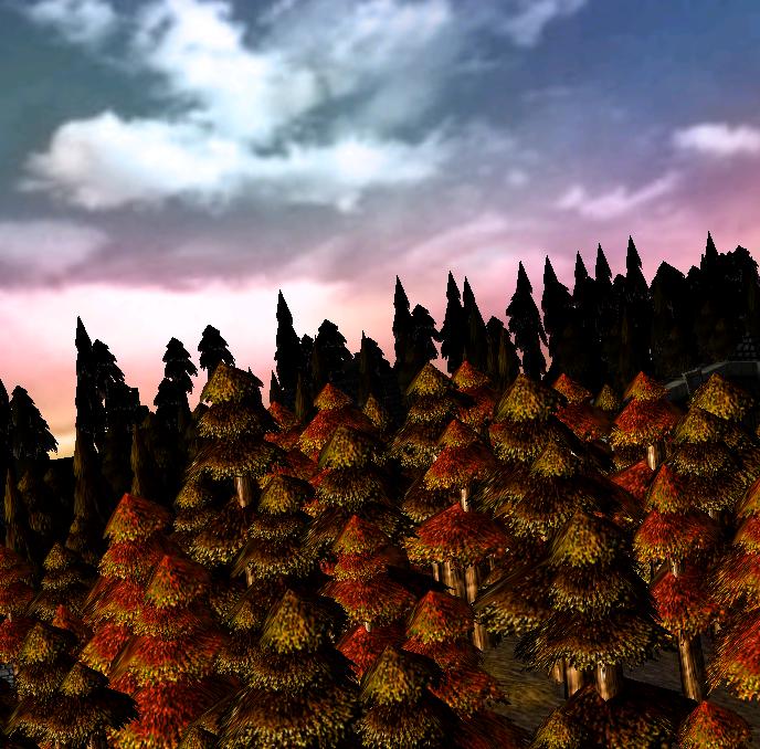 Fall Trees with nice Sky