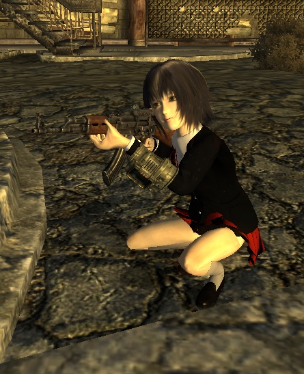 Fallout New Vegas Character

Aya-chan with her cute school blazer uniform with AK-47 weapon.