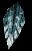 Feather1