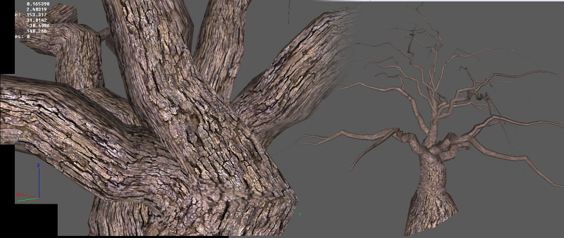 FH   Oak Tree