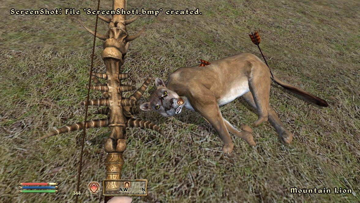 First, I sneaked it for half its health, then as it ran up to me I shot, getting a brilliant headshot. It's eyes are even crossed!
