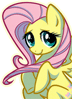 Flutershy blinking gif
Custom made edit
