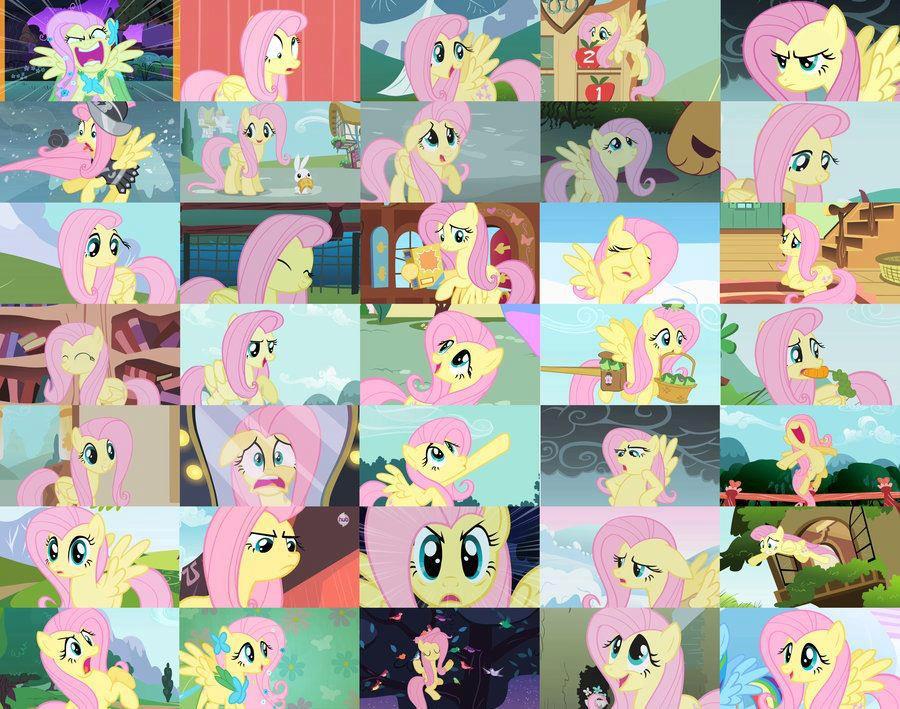 fluttershy17