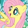 fluttershy6