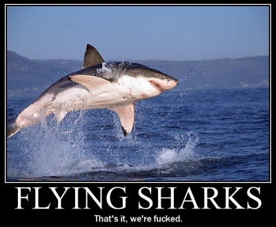 Flying Sharks