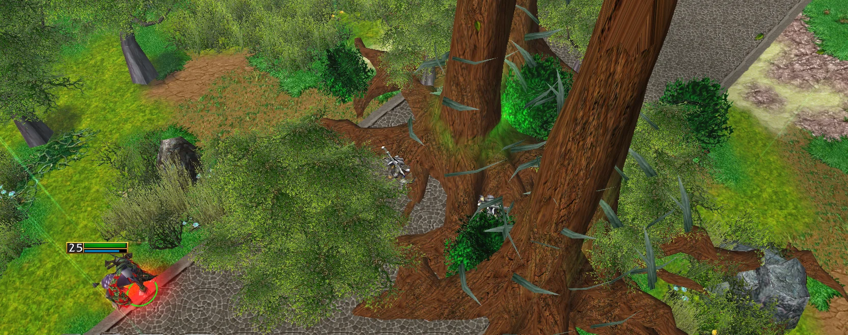 forest bloom