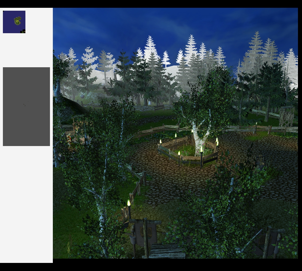 forest view1