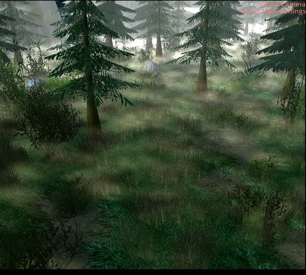 Forest
