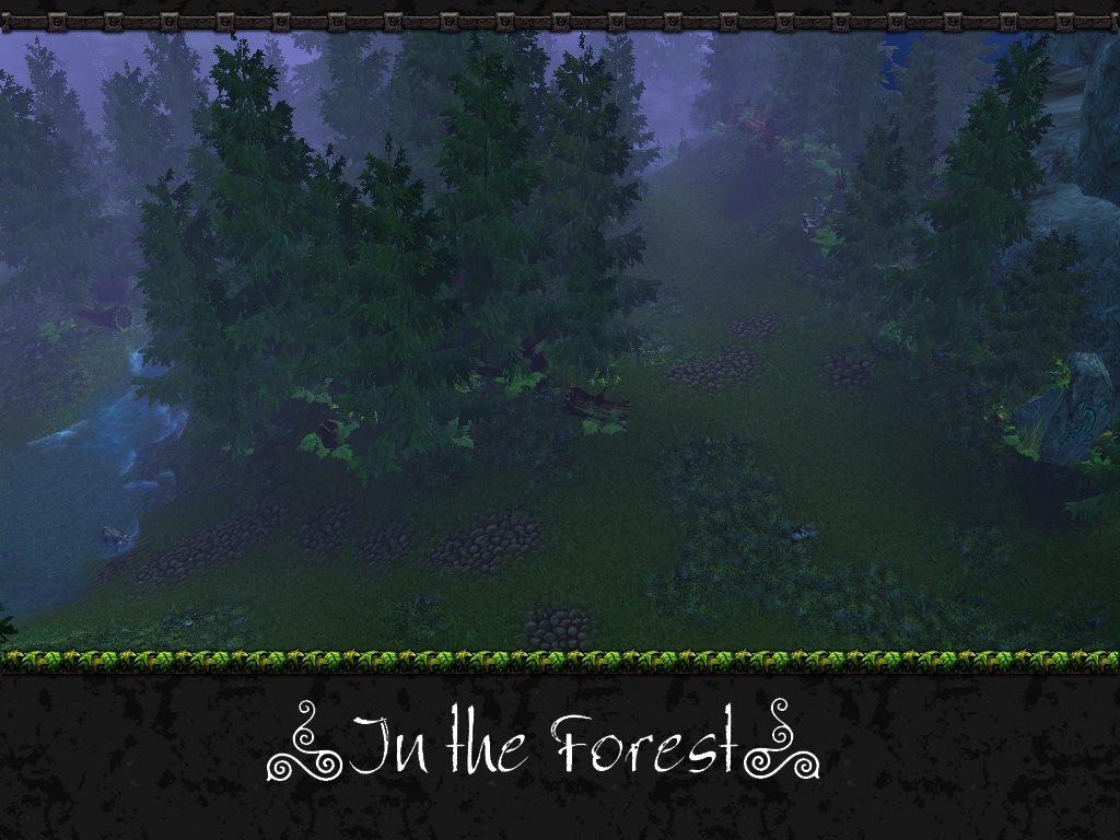 Forest